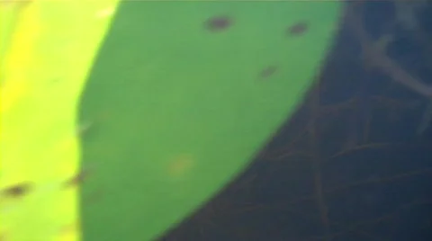 VID00212 Stock Footage 606703