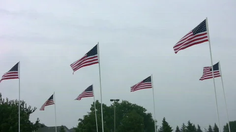Vid048 multiple american flags Stock Footage 493340
