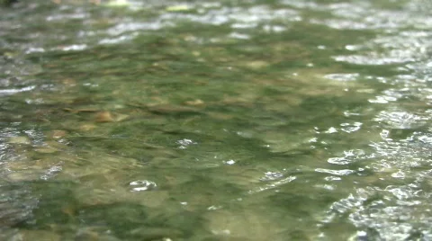 Vid076 water flowing in stream 스톡 동영상 516620