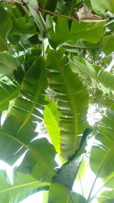 VID20220920152147 Stock Footage 211625318