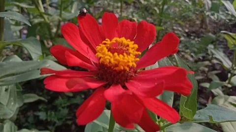 Video 20220123 154009 库存影片 173772629