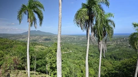 Video 4K of expanses of mountains esker with tall palms. Mountain landscape Stock Footage 167690309