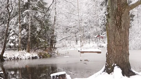 Video 4K winter forest landscape, swing on ropes by the lake, ducks swim in the Stock Footage 165840592