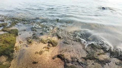 Video about beach scenery with waves and rocks	 Stock Footage 296980260