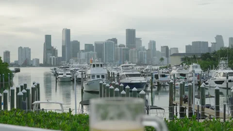 Video about beer on the view of the city of Miami Stock Footage 282917447