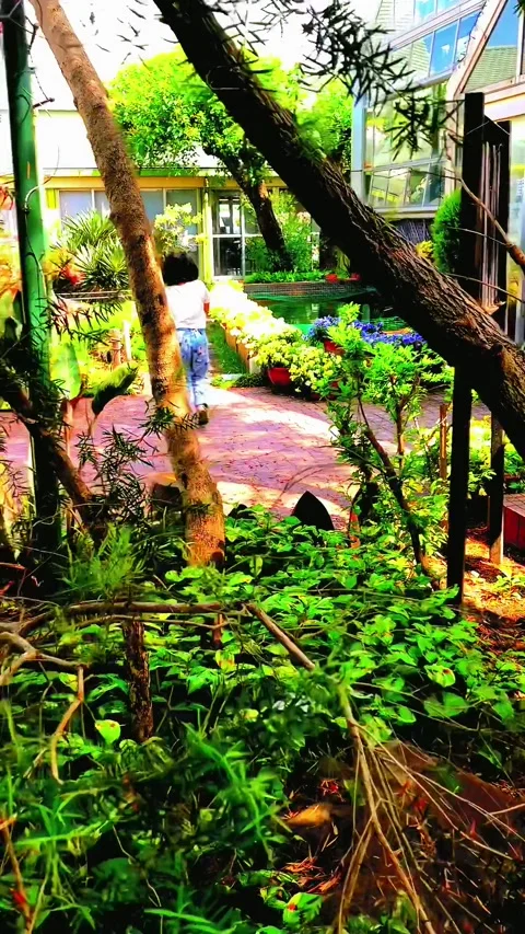 Video about nature #004 Stock Footage 242540538