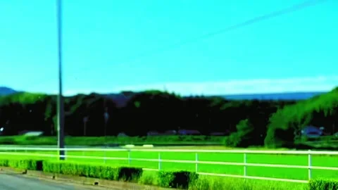 Video about nature #016 Stock Footage 243031632