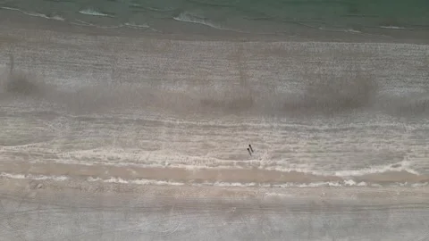 Video about two people walking on the coastline of the United Arab Emirates Stock Footage 287857742