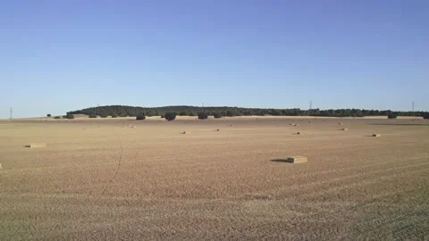 Video about a wheat plantation Stock Footage 222796537
