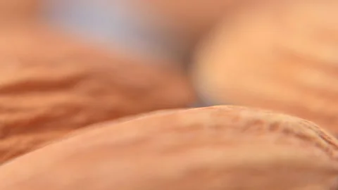 Video of almonds Stock Footage 328286704