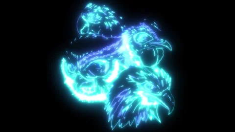 Video animation of birds head Stock Footage 274940001