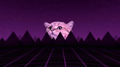 Video animation with cat face on grid is appearing under mountains on dark Stock Footage 157324616