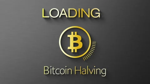 Video animation of a loading bar for Bitcoin halving 2024. Stock Footage 270048458