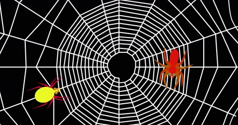 Video animation Two spiders crawling on white web Stock Footage 162936697