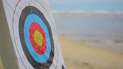 A VIDEO OF ARCHERY'S TARGET Stock Footage 119793031
