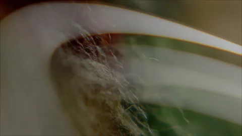 Video Art for Interior Design &amp; Art Displays Stock Footage 332128341