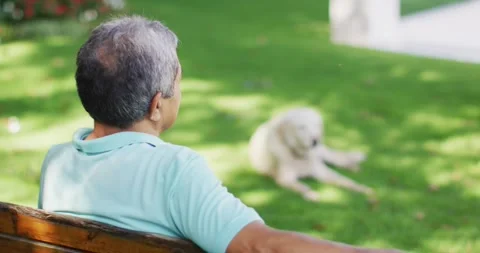 Video of back view of senior man sitting on bench in garden with dog Stock Footage 341466765