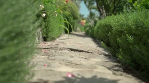Video for the background camera flying over a stone path along an alley between Video stock 157592095