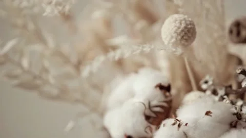 Video Background Flower Timelapse Stock Footage 237590328