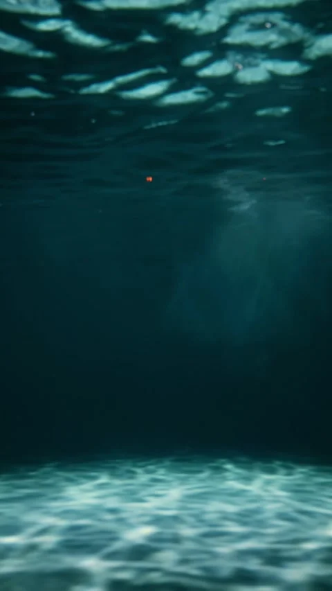 A video background for posting infographics on the topic of swimming Stock Footage 315560139