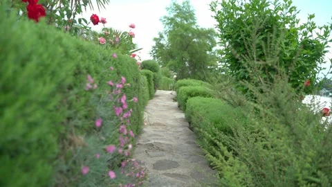 Video for the background of a stone path and on the sides of green spaces, a Video stock 157591826