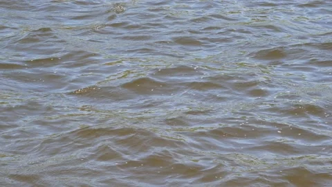 Video background of waves on the pond water surface in windy weather Stock-Footage 140691186