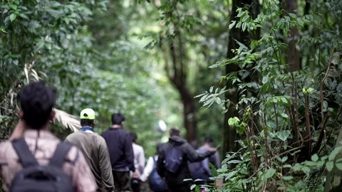 A video of backpackers or students hiking along a Western Ghats forest trai.. Video stock 314206216