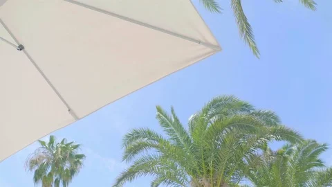 Video of beach umbrella in 4K Stock Footage 78648186