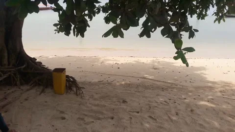 Video of a beach view with crashing waves and white sand during the day Stock Footage 324355200