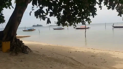 Video of a beach view with green sea and small boats on the shore Stock Footage 324355193
