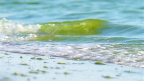 Video of a beautiful close-up seascape Stock Footage 342108367