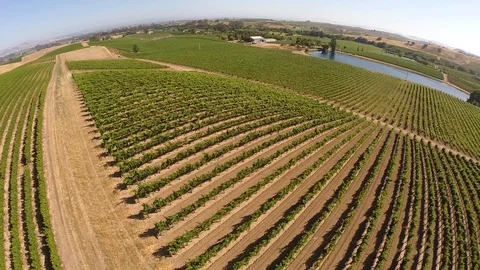 Video of beautiful napa vineyard. Stock Footage 90064553