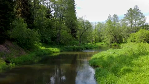 Video of beautiful river going down the stream, with green wild banks Stock Footage 169930119
