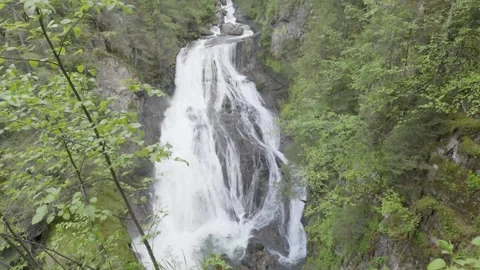 Video with a beautiful waterfall in green spring forest in the dolomites Video stock 242037599