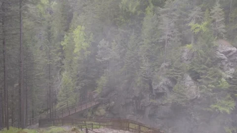 Video with a beautiful waterfall in green spring forest in the dolomites Video stock 242037741