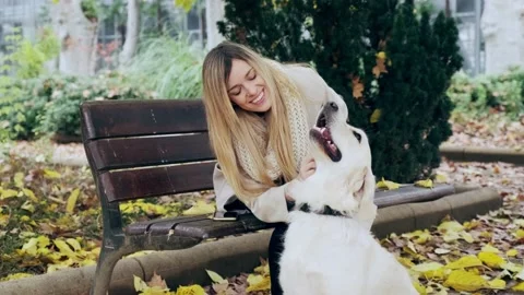 Video of beautiful young woman caressing her lovely dog while having fun sitt Stock Footage 157404553