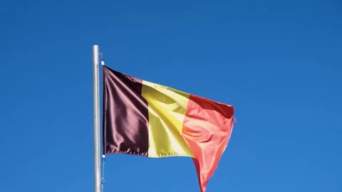 A video of the belgian flag with its black yellow and red tricolor on a fla.. Video stock 314651726