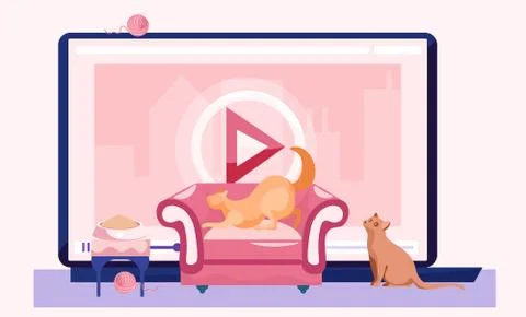 Video blog for pet owners, tutorial about keeping and feeding cats at home Stock Illustration