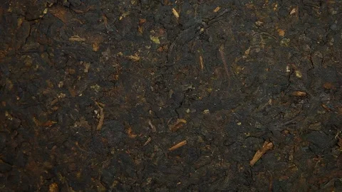 Video of blur dry tea Stock Footage 242418047