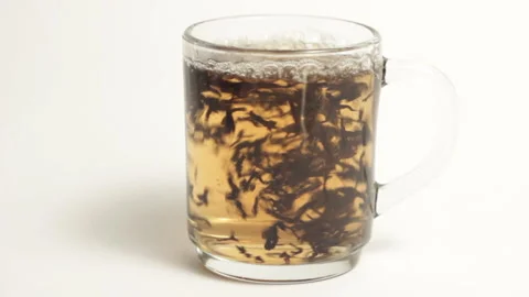 A video of boiled water being poured on tea leaves Stock Footage 233481606