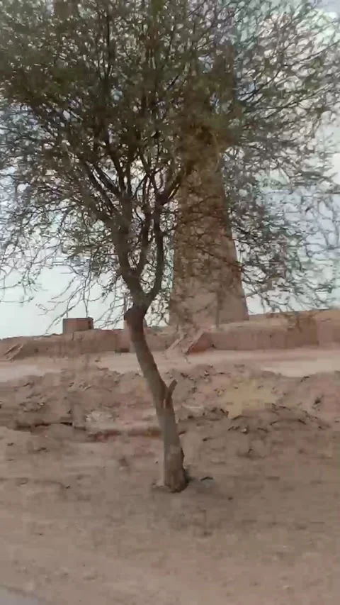 Video bricks udyog Stock Footage 153934892