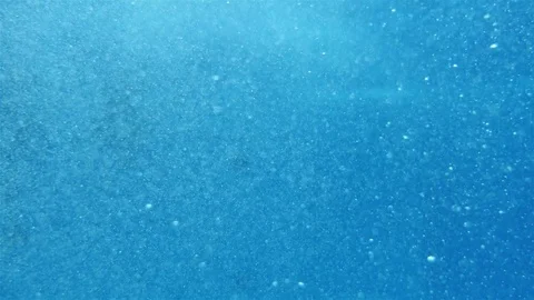 Video of bubbles underwater in 4k Stock Footage 75242458