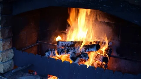 Video of a burning fire.  Beautiful video of a burning fire in nature. Vídeo Stock 105060448