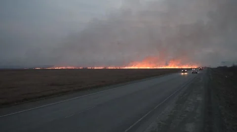 Video burning flame dry field fire Stock Footage 62379006