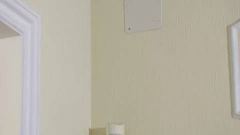 Video camera and Motion sensor in the apartment Stock Footage 246804565