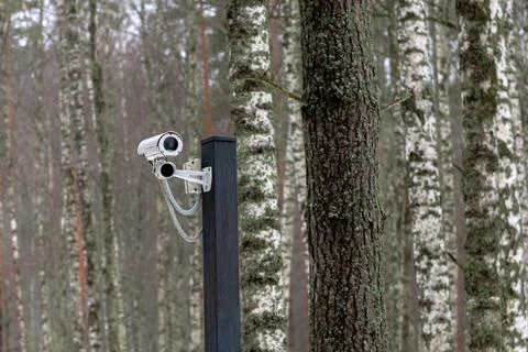 Video camera in the forest. Stock Photos