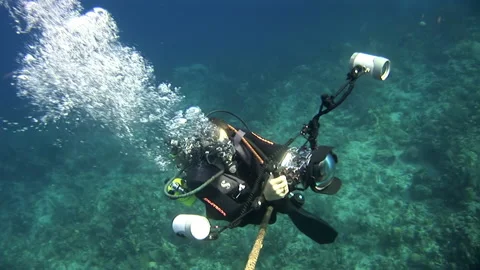 With video camera in hand, diver makes his way down rope to ocean floor. Stock Footage 234117500