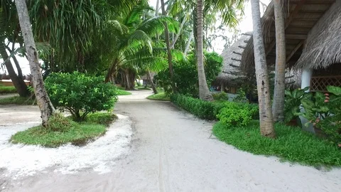 Video of camera moving along white sand path. Green plants, palm trees and Stock Footage 126430870