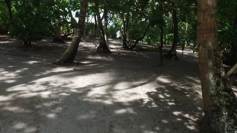 Video of camera moving along white sand path. Green plants, palm trees and Stock Footage 126831023