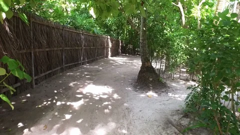 Video of camera moving along white sand path. Green plants, palm trees and Stock Footage 129409605
